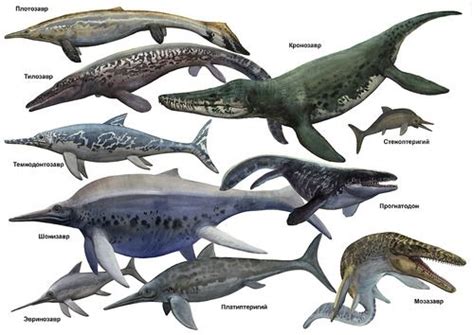 difference between mosasaurus and ichthyosaur.